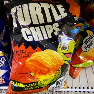Korean Turtle Chips