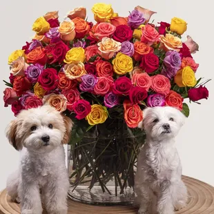 Valentine's Day in Albuquerque: Local Flower Delivery is selling out FAST!