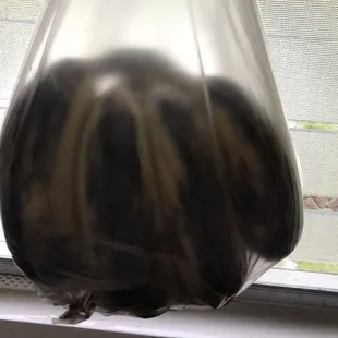 a plastic bag with a black substance inside