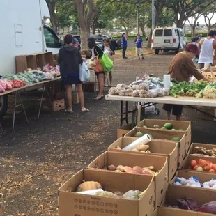 people standing around a table full of produce