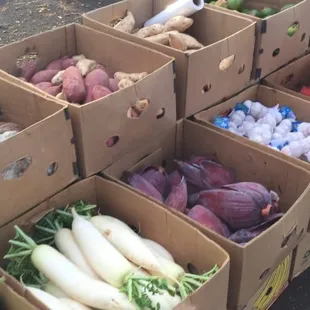 a variety of fruits and vegetables