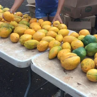 So many papayas!