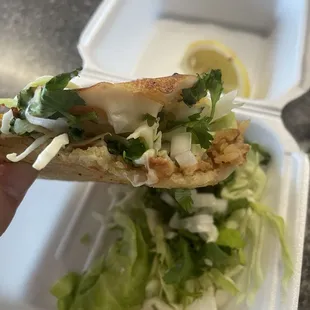 Gordita 4.99$