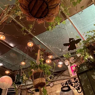 interior, sushi and sashimi