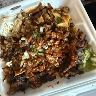 Carne asada fries