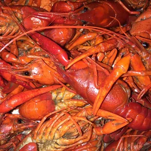 Crawfish