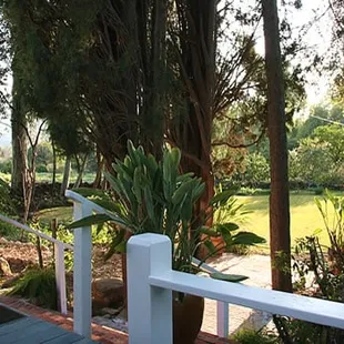 View from front porch