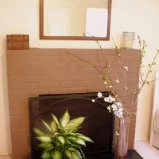 Adorable Fireplace