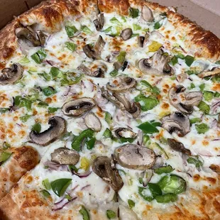 Mushroom green pepper pizza