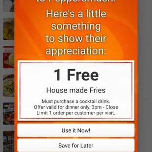 Check offer that wasn't valid because they weren't serving good.  However the manager comped me a free shot in place of the fries.