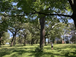 Hanscom Park
