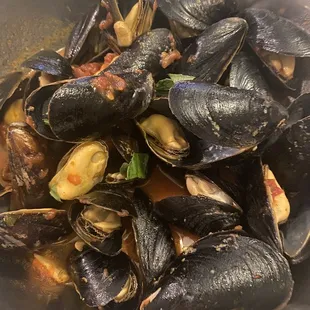 Mussels
