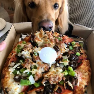 Pepz House Special Pizza &amp; Stewie