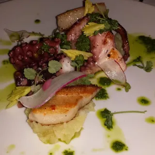 PIASTRA ROASTED OCTOPUS
