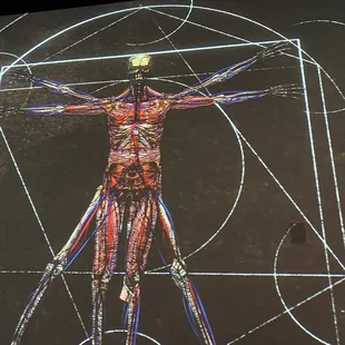 DaVinci&apos;s sketch of human anatomy