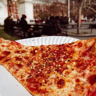 Enjoying Cheese Pizza Slice in the park. $2 + tip
