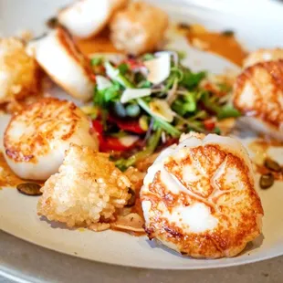 Seared scallops