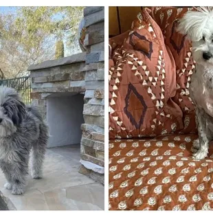 Before and After