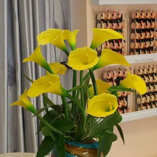 Perfect Nails &amp; Spa - Corpus Christi, TX 78411