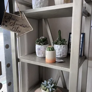Succulent corner