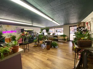 Flowers Plus