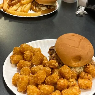 a plate of fried tater tots and a hamburger