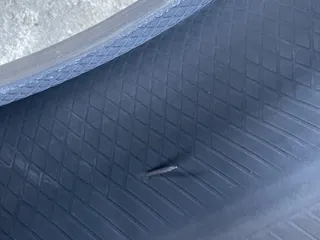 Pacific Tire & Wheel 