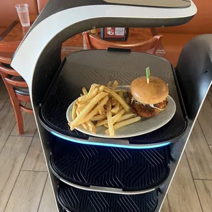 Cat Robot deliver's your food!