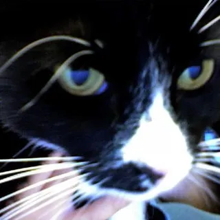 Mr. S.