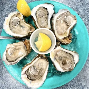 Oysters