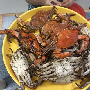 Boiled crabs and they are very good