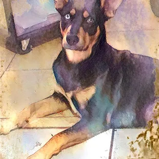 Rosco DeMandre, Jr.