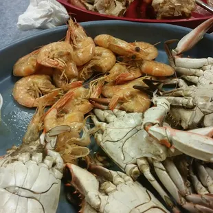 Blue Crabs