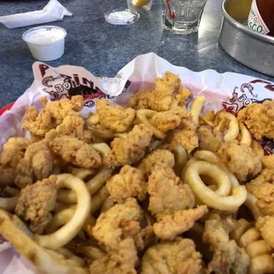 Fried Alligator