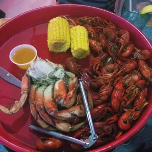 Dungeness Crab