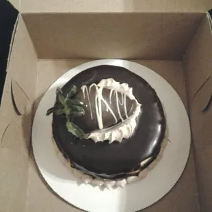 Mini Turtle Cheesecake