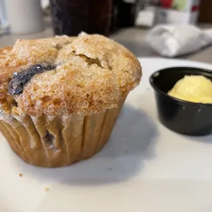 Not so mammoth muffin