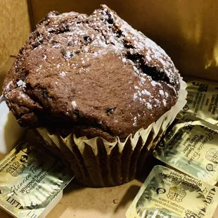 Great Chocolate Muffins