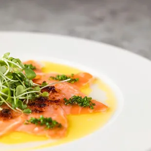 Salmon Tiradito