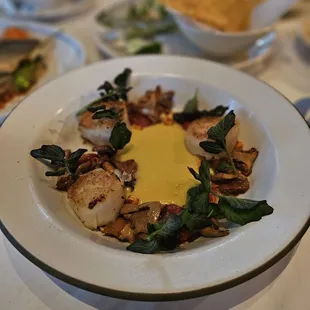 Scallops and mushrooms