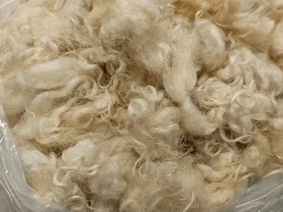 Telderer's Rainbows End Farm