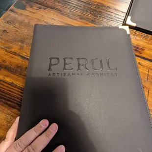 a hand holding a book