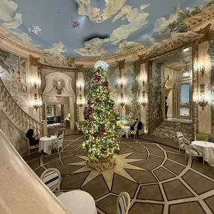 ramen and noodles, interior