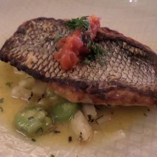 Black Sea Bass