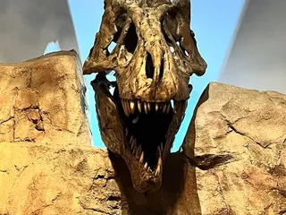 Western Science Center