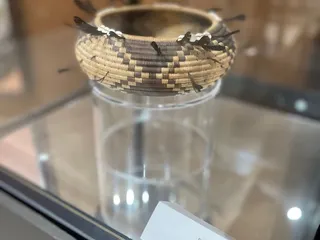 Ya'i Heki' Regional Indian Museum