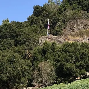 a flag on a hill