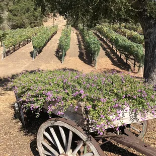a wagon full of flowers