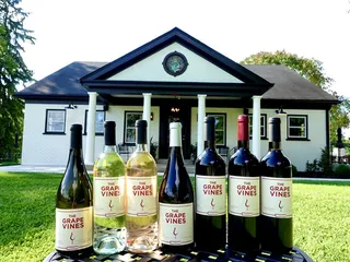 The Grape Vines Wine Bar