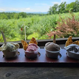 Yummy blueberry ice cream!
